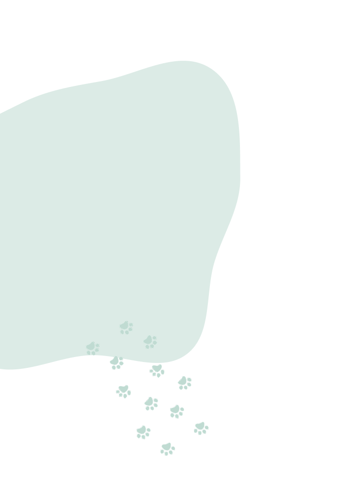 ミントの足跡シェイプ