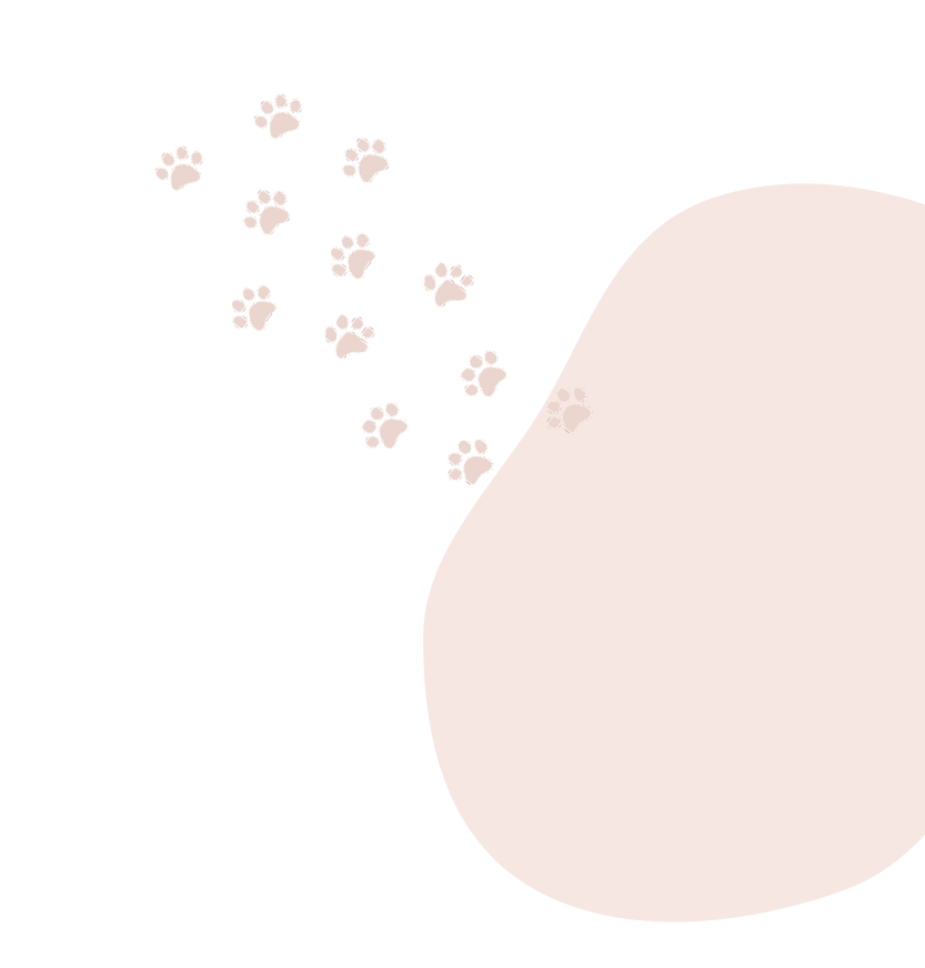 ピンクの足跡シェイプ