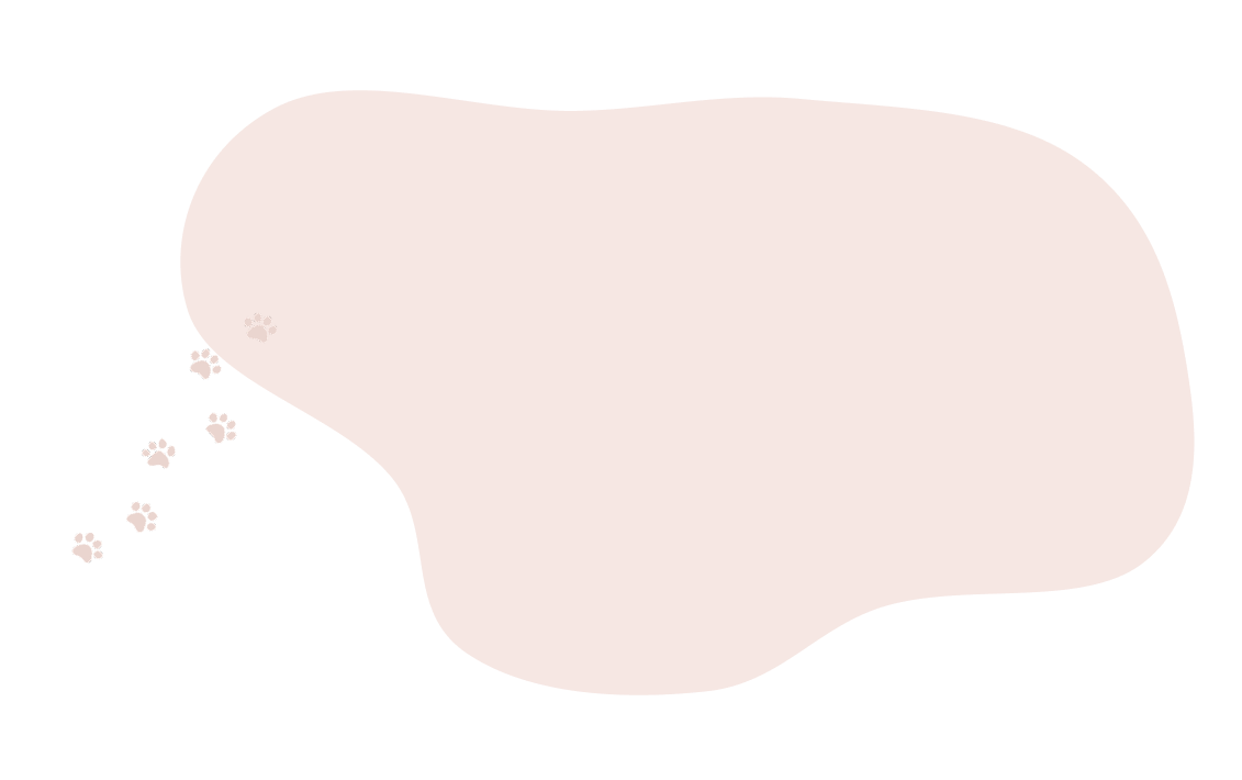 ピンクの背景シェイプ