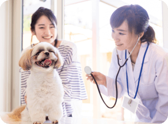 犬の診察中の画像