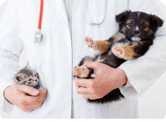 医師が犬猫を抱える画像