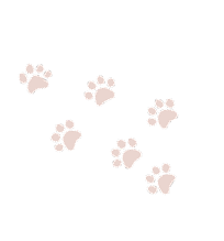 ギャラリー装飾画像