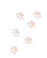 ギャラリー装飾画像